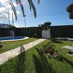Azahar Whole Denia